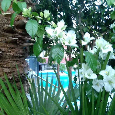 Aragorn Paradise Garden מלון